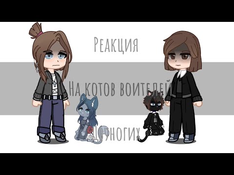 Видео: Реакция двуногих(людей) на котов воителей•1/??