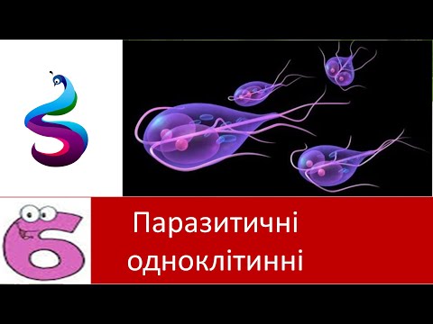 Видео: Паразитичні одноклітинні