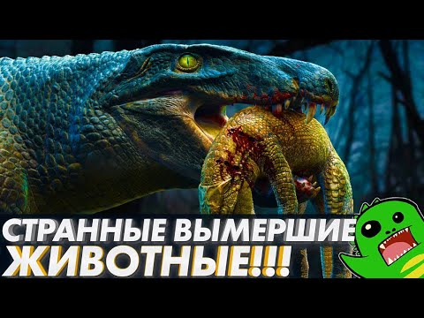 Видео: СУХОПУТНЫЕ КРОКОДИЛЫ, СУМЧАТЫЙ ЛЕВ и другие [ СТРАННЫЕ ВЫМЕРШИЕ ЖИВОТНЫЕ ]