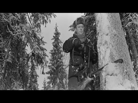 Видео: Попилил Уралом и Дружбой,это трэш!!!