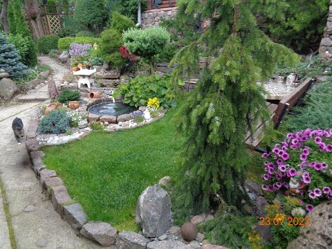 Видео: ОБЗОР САДА- ЗОНА ФОНТАН-2023г