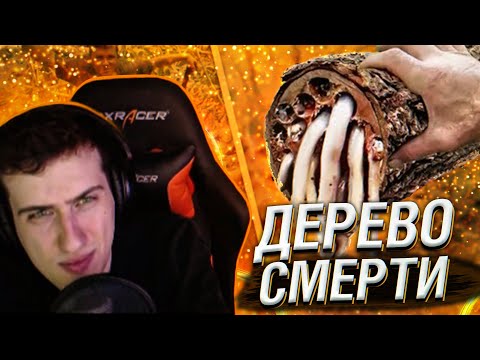 Видео: Hellyeahplay смотрит: Посмотрите на Что Способно Самое Опасное Дерево в Мире