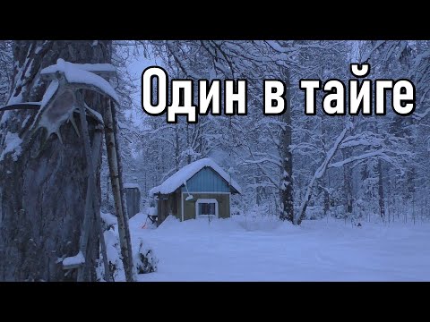 Видео: Второй заезд на участок,один в тайге,изба,отрыв от цивилизации.