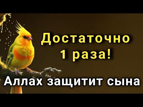 Видео: 🤲 ЭТО САМАЯ СИЛЬНАЯ МОЛИТВА ЗА СЫНА!СПАСЁТ ОТ БЕДЫ ЗЛЫХ ЛЮДЕЙ ПОРЧИ СГЛАЗА СИЛЬНЫЙ ОБЕРЕГ! ✨