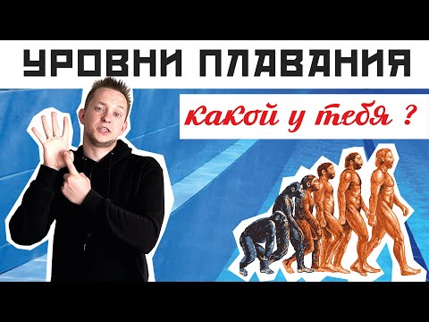 Видео: КАКОВ ТВОЙ УРОВЕНЬ ПЛАВАНИЯ КРОЛЕМ? 5 уровней плавания