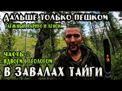 Видео: Блуждая по Завалам Тайги: В поисках Хариуса и Ленка в Медвежьем краю