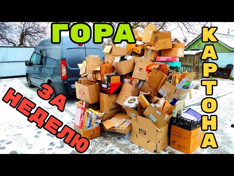Видео: Сдали ВСЁ!!! Собираем макулатуру по новой!