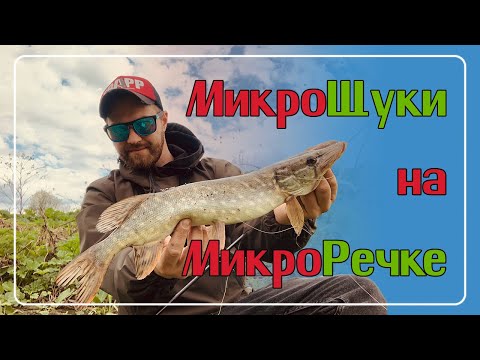 Видео: Микро Щуки на Микро Речке