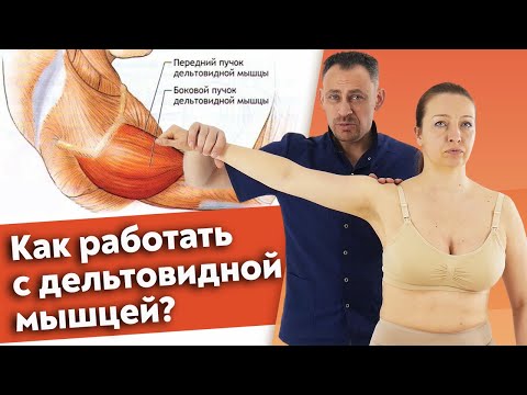 Видео: Болит плечо! / Дельтовидная мышца человека / Пошаговая инструкция работы с дельтовидной мышцей
