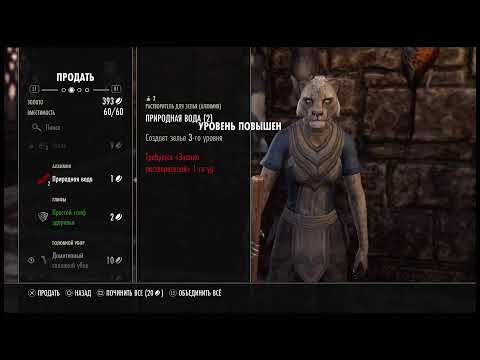 Видео: Карьера тренерае