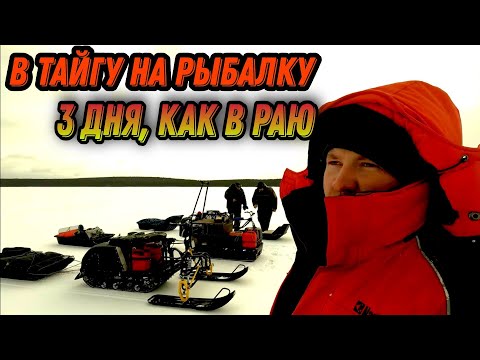 Видео: ТРИ МОТОБУКСИРОВЩИКА ЕДУТ В ТАЙГУ. ОТЛИЧНАЯ РЫБАЛКА НА ВОДОХРАНИЛИЩЕ В МАЕ.