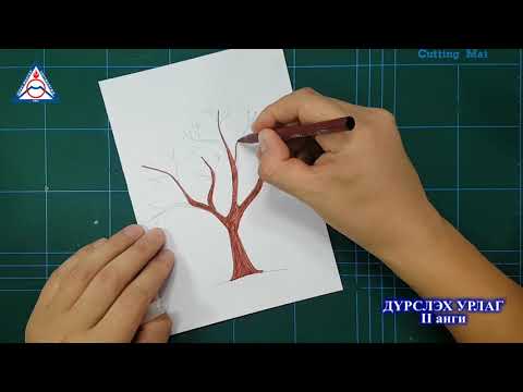Видео: [ЦАХИМ ХИЧЭЭЛ] Дүрслэх урлаг 2-р анги "Мод зурах аргачлал"