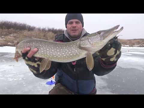 Видео: Главное не Спешить! Зимняя Рыбалка на Жерлицы/Балансир 24-25!