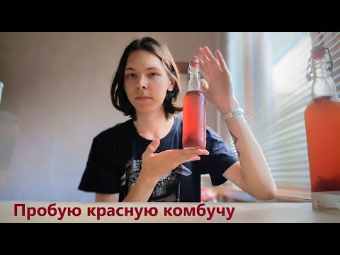 Видео: Пробую красную Комбучу (собственного производства)