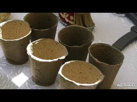 Видео: Как в Свислочи создают экопосуду из соломы.