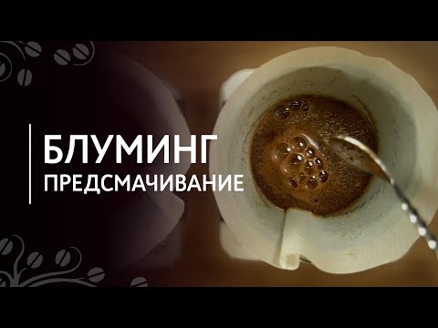 Видео: Блуминг или предсмачивание при заваривании кофе