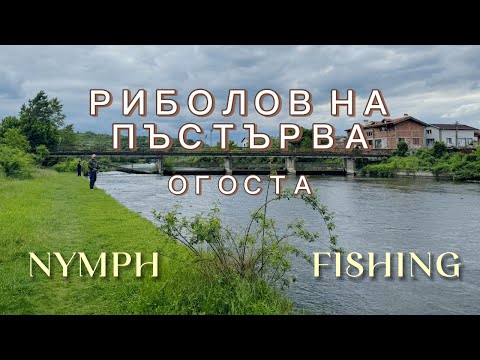 Видео: Река ОГОСТА | Риболов на ПЪСТЪРВА с нимфа и сигнализатор - част 2 | Nymph