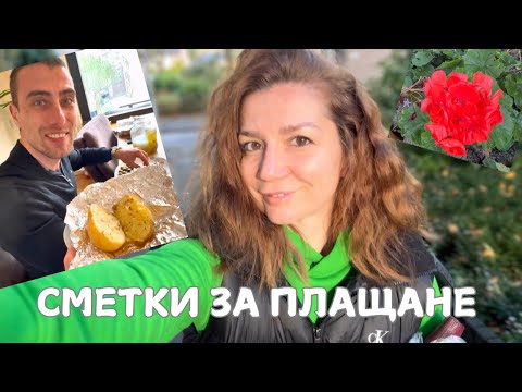 Видео: НЕ ВСИЧКО Е ЦВЕТЯ И РОЗИ🌹~ Сметки ~ Холандски рецепти ~ Влог 2024