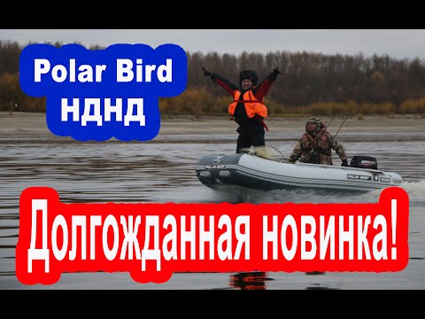 Видео: Надувная лодка ПВХ НДНД под мотор, обзор новинки Polar Bird.  Рыбалка на спиннинг с лодки.