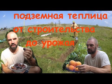 Видео: Подземная теплица От строительства до фруктовAn underground greenhouse. From construction to fruits.