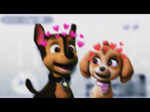 Видео: 😏Гонщик и Скай 😏(Девочка-Кокетка)💫~Для канала Зухрашка Гамидова~💫😏Chase & Skye😏