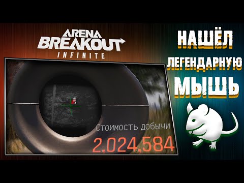 Видео: ЛЕГЕНДАРНАЯ МЫШЬ! : Arena Breakout: Infinite!