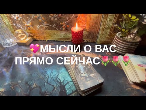 Видео: 12 ноября 2025 г.