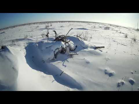 Видео: Супер ОХОТА на ЗАЙЦА 14 01 2021