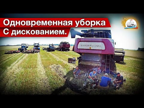 Видео: Уборка в три комбайна и в три грузовика. Обед с ХТЗистами-дисковщиками.