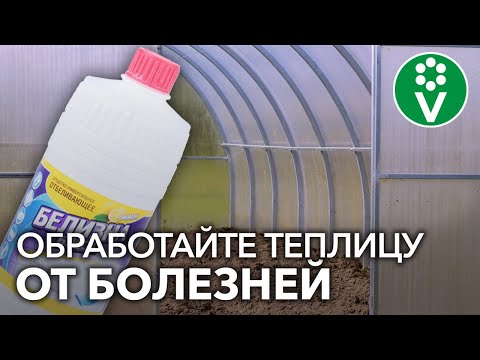 Видео: ЭТО ЛУЧШЕЕ СРЕДСТВО ДЛЯ ДЕЗИНФЕКЦИИ ТЕПЛИЦЫ ОСЕНЬЮ после томатов, огурцов и перцев