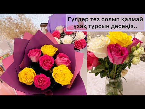 Видео: Сыйлыққа келген гүл тез солып қалмай ұзақ тұрсын десеңіз. КАК СОХРАНИТЬ РОЗЫ В ВАЗЕ НАМНОГО ДОЛЬШЕ