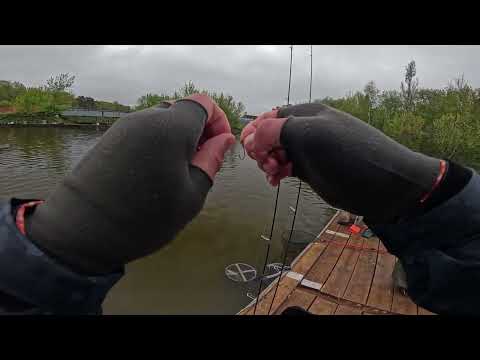 Видео: Первый взгляд на Roix Spotty