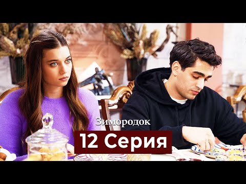 Видео: Зимородок 12 Cерия (Русский дубляж)