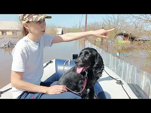 Видео: Один день в затопленном поселке