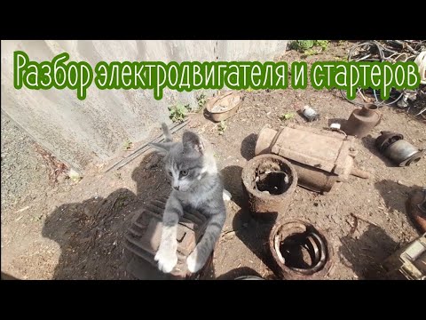 Видео: Разбор цветного металла электродвигателя и стартеров