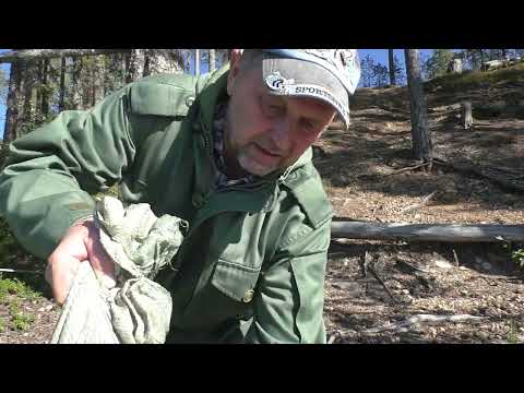 Видео: Рыбалка на самоловки!