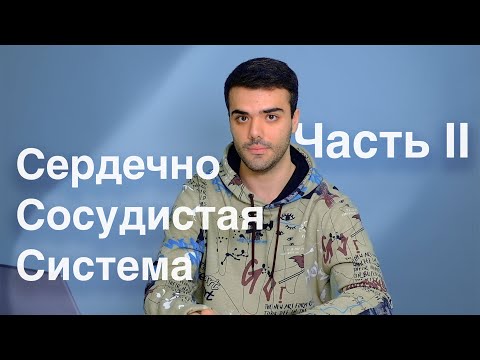 Видео: Физиология сердечно-сосудистой системы: Урок II