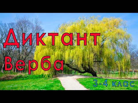 Видео: Навчаємось дистанційно (аудіодиктант - 60 слів)