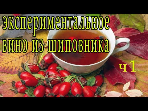 Видео: вино из ШИПОВНИКА часть 1