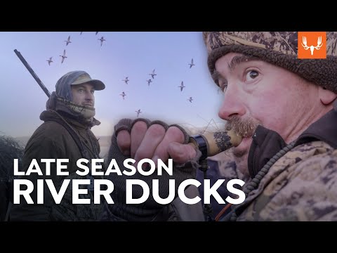 Видео: Водоплавающая дичь позднего сезона с Ол Кэлом | Кэл в поле