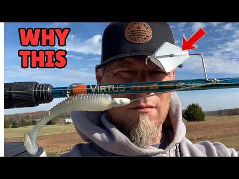 Видео: Этот ТРЮК навсегда изменил мою рыбалку на BUZZBAIT