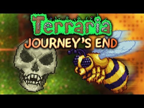 Видео: Кости с медом // Terraria 1.4 Master #3