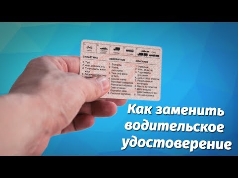 Видео: Видеоинструкция: Как заменить водительское удостоверение