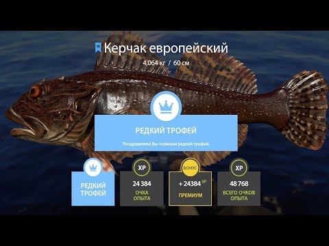 Видео: 🐠ИЩЕМ ПРИКЛЮЧЕНИЯ НА НОРВЕЖСКОМ МОРЕ🐡РОЗЫГРЫШ РУЛЕТОК