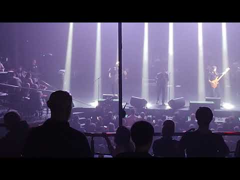 Видео: Всё позволено / ПТВП / "Чорный концерт". СПб, Aurora Concert Hall. 4 апреля 2025 г.