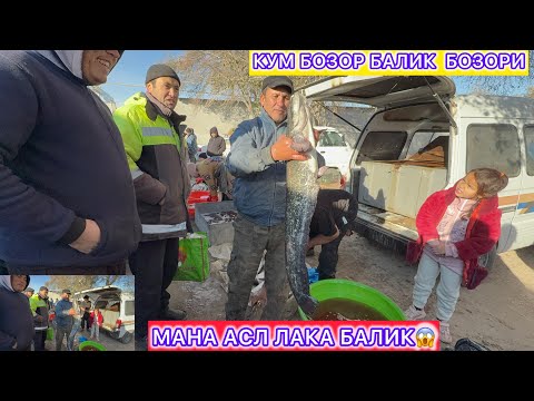 Видео: МАНА АСЛ ЛАКА БАЛИК | ХОРАЗМ КУШКУПИР КУМ БОЗОР БАЛИК БОЗОРИ 7-ноября 2025 г.