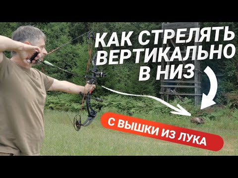 Видео: Вертикальная стрельба из лука, охота с вышки. Как не промахнуться.