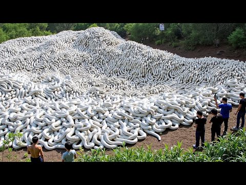 Видео: Невероятные моменты, запечатленные на камеру | Вы не поверите, что произойдет дальше!