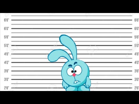 Видео: Какой приговор получил бы Крош?