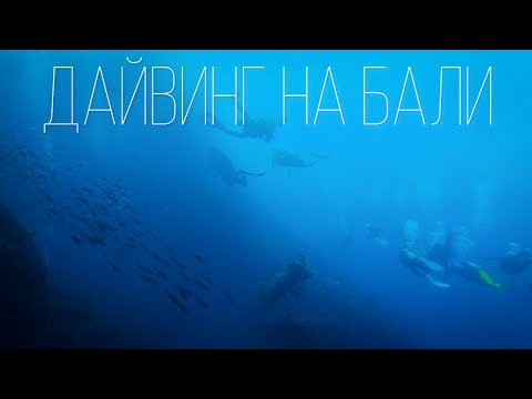 Видео: Дайвинг на острове Бали. Для новичков и профессионалов!